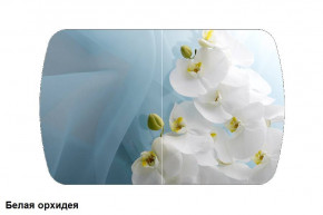 Стол Бостон 2 (1100*700) опоры Брифинг (Стекло/фотопечать Белая орхидея) в Ушье - ushya.germes-mebel.ru | фото